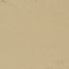 Beige Color
