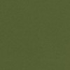 Green Color